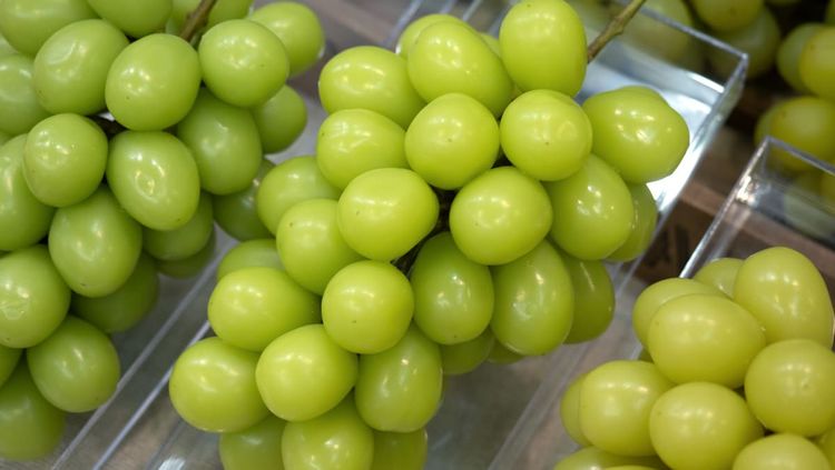 Shine Muscat grapes